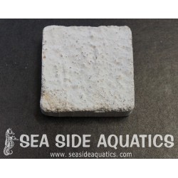 1.5" Cement Frag Square 25 PACK