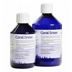 Coral Snow - Korallen-Zucht