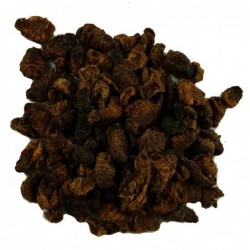 Dried Silkworm Pupae