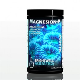Magnesion-P 400G - Brightwell