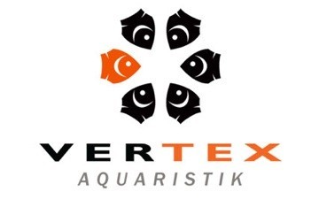 Vertex