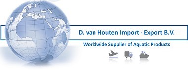 DVH