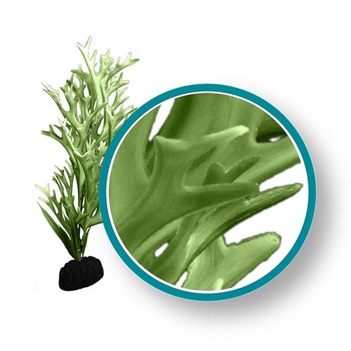 Weco Wonder Plants