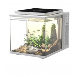 Dice Series Pico Cube Aquarium (2 Gal)