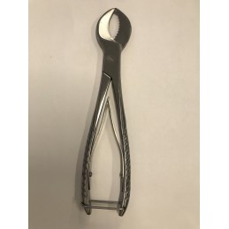 Large Coral Cutter - Sea Side Aquatics