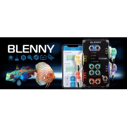 Hydros Blenny - Coralvue