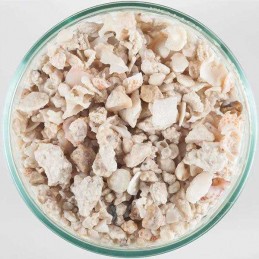 Florida Crushed Coral 40lbs - CaribSea