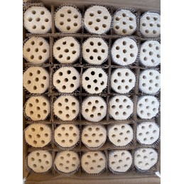 Ceramic Bio Media / Bacteria House Media Bakki Shower