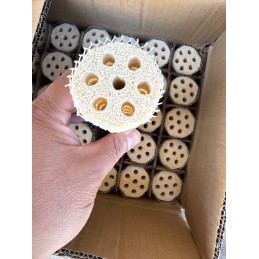 Ceramic Bio Media / Bacteria House Media Bakki Shower