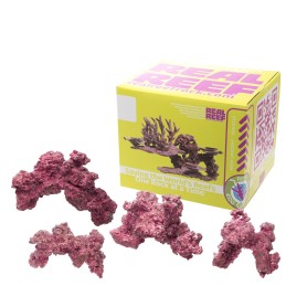 Arches Rock - Real Reef