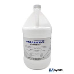 Parasite-S Formalin, 1 Gallon - Syndel