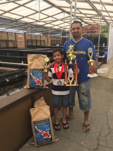 Champkoi Young Koi Show 2016