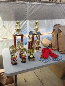 Champkoi Young Koi Show 2016