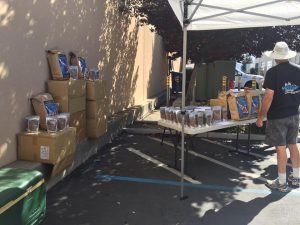 Genki Koi Grow Out 2016