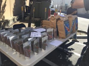 Genki Koi Grow Out 2016