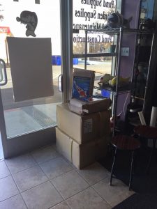 Genki Koi Grow Out 2016