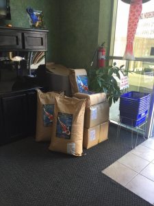 Genki Koi Grow Out 2016