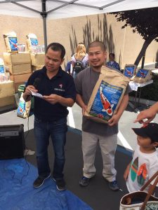 Genki Koi Grow Out 2016