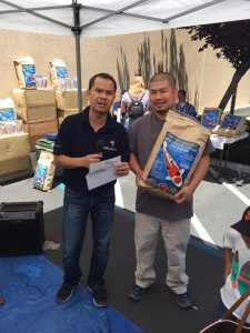 Genki Koi Grow Out 2016